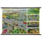 Highway Junction Rollable Wall Chart 1