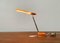 Italian Microlight e.light Table Lamp by Ernesto Gismondi for Artemide, Image 5