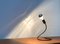 German Minimalist Lightworm Table Lamp by Walter Schnepel for Tecnolumen 6