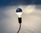 German Minimalist Lightworm Table Lamp by Walter Schnepel for Tecnolumen, Image 7