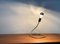 German Minimalist Lightworm Table Lamp by Walter Schnepel for Tecnolumen 4