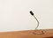 Lampada da tavolo Lightworm minimalista di Walter Schnepel per Tecnolumen, Germania, Immagine 22