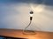 German Minimalist Lightworm Table Lamp by Walter Schnepel for Tecnolumen 19