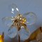 Large Mid-Century Wall Light with Acanthus Leaves and Crystal Flowers, 1960s 7