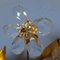 Large Mid-Century Wall Light with Acanthus Leaves and Crystal Flowers, 1960s, Image 7