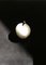 Scultura a forma di mela in alabastro e ottone di Edouard Sankowski per Krzywda, Immagine 4