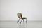 Italian Dining Chair by Gustavo Pulitzer Finali for Arflex, 1955 5