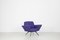 Set of Italian Lounge Chairs in Blue and Violet by Lenzi for Studio Tecnico, 1950s 9