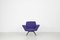 Set of Italian Lounge Chairs in Blue and Violet by Lenzi for Studio Tecnico, 1950s 8