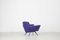 Set of Italian Lounge Chairs in Blue and Violet by Lenzi for Studio Tecnico, 1950s 11