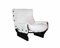 Canada Lounge Chair and Ottoman by Osvaldo Borsani for Tecno, Italy, 1950s, Set of 2 2