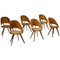 Italian Plywood Dining Chairs, 1940s, Set of 6, Image 1