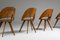 Italian Plywood Dining Chairs, 1940s, Set of 6 4