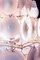 Pink Chandeliers, 1970, Set of 2, Image 12