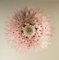 Lámparas de araña de cristal de Murano rosa. Juego de 2, Imagen 18