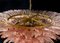 Lámparas de araña de cristal de Murano rosa. Juego de 2, Imagen 8