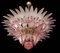 Italian Chandeliers with Pink Leaves, Murano, Set of 2 5