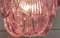 Italian Pink Shell Chandeliers, Murano, Set of 2 16