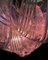 Italian Pink Shell Chandeliers, Murano, Set of 2, Image 6