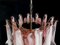 Lámpara de araña italiana de pétalos de Murano rosa y blanco, Imagen 12