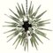 Lámparas Sputnik de cristal de Murano, Imagen 1