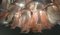 Lampadari a forma di petalo di Murano, Italia, anni '90, set di 2, Immagine 17