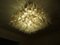 Lámpara de araña de pétalos de cristal de Murano, años 90, Imagen 2