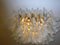 Lámpara de araña de pétalos de cristal de Murano, años 90, Imagen 7