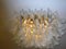 Murano Glass Petal Chandelier, 1990s 7