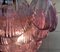Italian Pink Shell Chandelier, Murano, Image 18