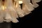 Lámparas de araña de cristal de Murano con pétalos blancos. Juego de 2, Imagen 14
