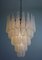 Italian Murano Glass Petal Chandelier 2