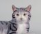 Porzellanfigur der Liegenden Katze von Bing & Grøndahl 6