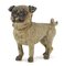 Pug de bronce vienés, Imagen 1