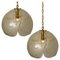 Clear Glass and Brass Pendant Light in the Style of Kalmar, 1970s 2