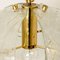 Clear Glass and Brass Pendant Light in the Style of Kalmar, 1970s 12