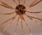 Lámpara de araña Sputnik Mid-Century grande de latón con 15 brazos, años 50, Imagen 4