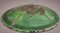 Early Green Folk Art Plate 8