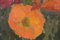 Jose María Armengol Farré, Natura morta post-impressionista con fiori arancioni, XX secolo, Olio su tela, Incorniciato, Immagine 5