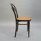 214 Coffee House Stuhl aus Bugholz & Korbgeflecht von Michael Thonet für Thonet 4