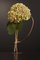 Standing Swirl - Rose Gold by Art Flower Maker, Image 4
