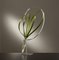 Standing Swirl - Chrome par Art Flower Maker 1