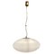 Italian 1187 Pendant Lamp by Gaetano Schoolchi for Stilnovo, 1953, Image 1