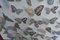 Sumit Mehndiratta, holografische Schmetterlinge, 2022, Acryl auf Holz 5