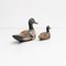 Figurines de Canard Antiques en Bois Peintes à la Main, 1950s, Set de 2 8