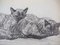 Théophile Alexandre Steinlen, Cats in Love, 1933, Litografia, Immagine 3