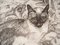 Théophile Alexandre Steinlen, The Siamese Cat, 1933, Lithograph 4