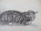 Théophile Alexandre Steinlen, The Tabby Cat, 1933, Lithograph, Image 5