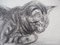 Théophile Alexandre Steinlen, The Tabby Cat, 1933, Lithograph 4
