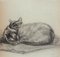 Théophile Alexandre Steinlen, Sleeping Cats, 1933, Litografia, Immagine 1